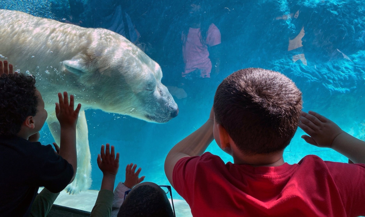 Academy students were captivated during their visit to the North Carolina Zoo. Photo courtesy of the NC Outdoor Heritage Advisory Council